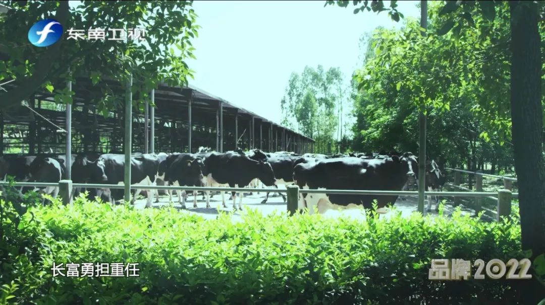 首页|bifa必发集团中国区官网